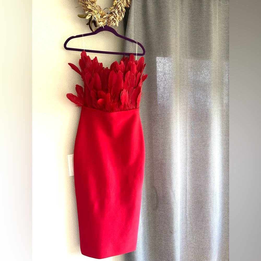 Fashion Nova Strapless Red Feather Dress
